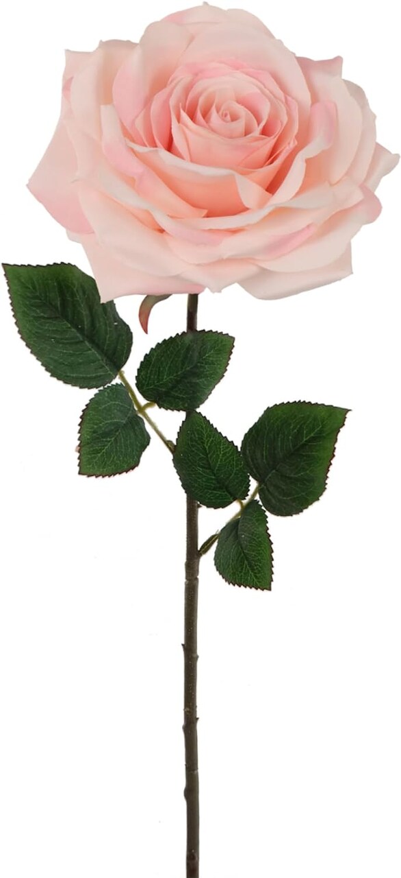 12-Pack: Open Rose Stem with Lifelike Silk Foliage, Floral Home by Artificial Flowers